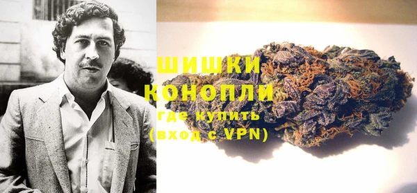 ГАЛЛЮЦИНОГЕННЫЕ ГРИБЫ Балабаново